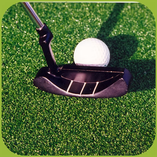 Gazon artificiel pour Golf Putting Green Herbe de golf Gazon synthétique Multifonctionnel Gazon de terrain de jeu Gazon